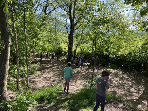 Urwald1